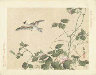 Flying Bird by Climbing Plant with Pink Flowers (Flower and Bird Sketches by Keibun - Part Three)