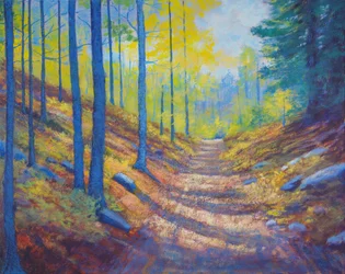 Sunlit Autumn Forest Path