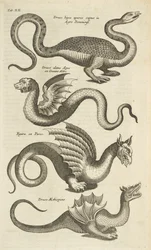 Mythical Creatures, Dragons, Illustration from 