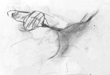 Crease, 2007