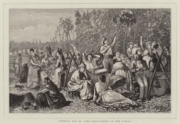 Poverty Out of Town, Hop-Pickers in the Fields