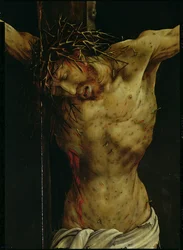 The Crucifixion from the Isenheim Altarpiece, detail of Christ