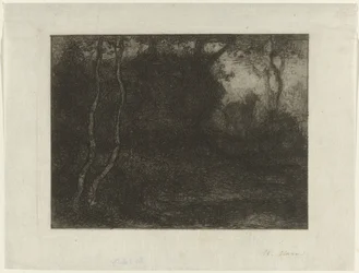 Forest with Goat
