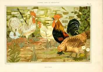Naturalistic Depiction of Chickens and Roosters