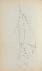 Italian Sketchbook: Sail