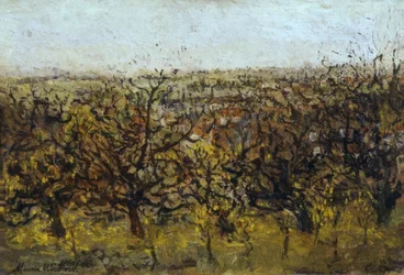 Apple Trees in Montmagny
