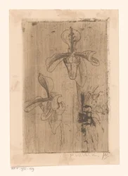 Two Orchids and a Cart on the Beach