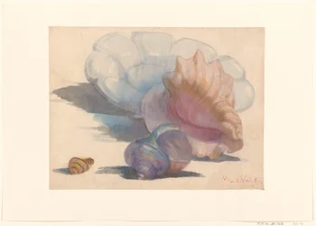 Three Shells by a Delft Folded Dish