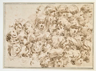Heads
