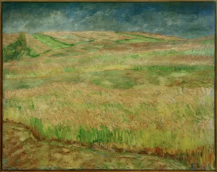 Blooming Grain Landscapes