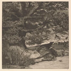 Fallen Rider