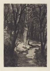 In the Forest