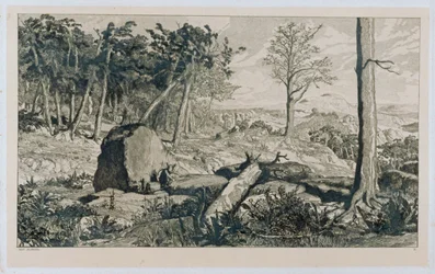 Mountain landscape