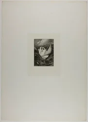 Rescue, Plate Four from A Glove
