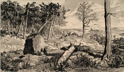 Simplicius in the Wilderness