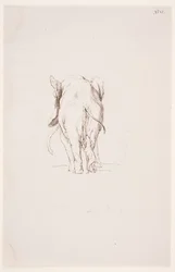 "Path of Defilement" - "Elephant and Sniffing Dog"