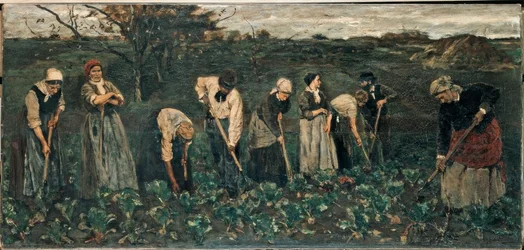 Workers in the Beet Field
