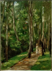 Birch Path in Wannsee Facing West