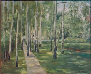 The birch avenue in the Wannsee garden looking west