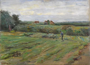 Harvest Field
