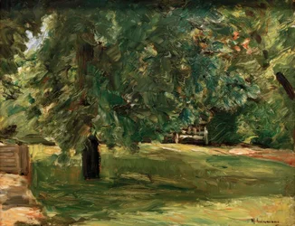 Garden Bench under the Chestnut Tree in Wannsee Garden