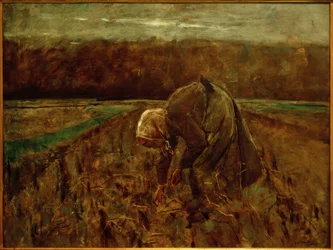 Potato Gatherer