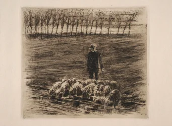 Flock of Sheep at the Watering Place