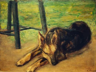 Sleeping Shepherd Dog