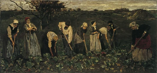 Workers on the Beet Field
