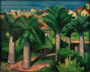 Palms in Collioure