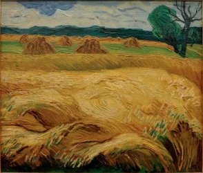 Ripening Grain