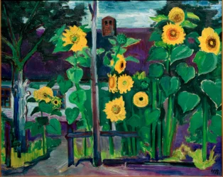 Sunflowers in Front of Apartment