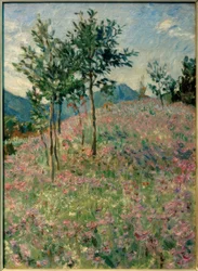 Mountain Landscape with Phacelia Field