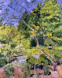 Park in the Palatinate (Neukastel)