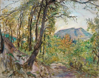 Palatinate Landscape