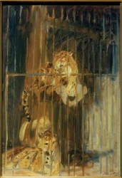 Two Leopards in a Cage