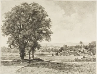 Landscape