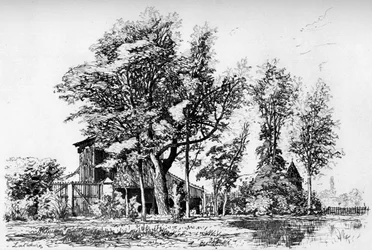 Les Acacias