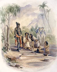 Indigenes in Oceania