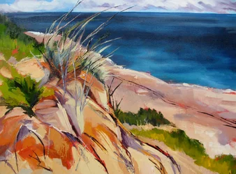 Beach Grass And Dunes