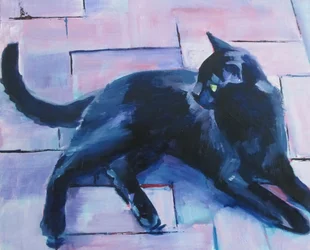 Black Cat Purple Floor