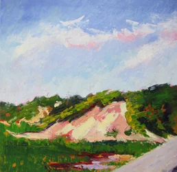 Vibrant Dune Landscape
