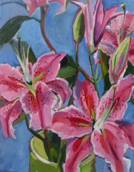 Vibrant Pink Lilies