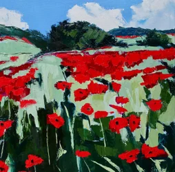 Vibrant Poppy Field