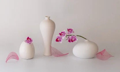 Pink Orchids Still Life