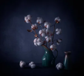 White Cotton Still Life