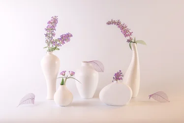 White Vases, Lavender Flowers