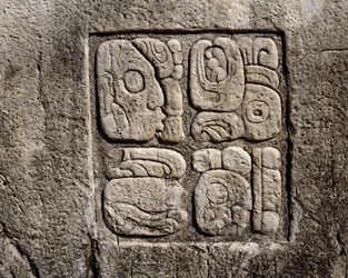 Glyphs in the house C, patio 2 in the palace