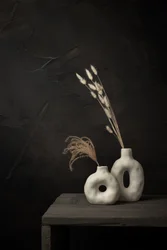 Organic Vases Dried Plants