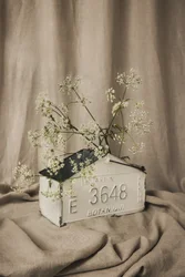 Rustic Botanical Display